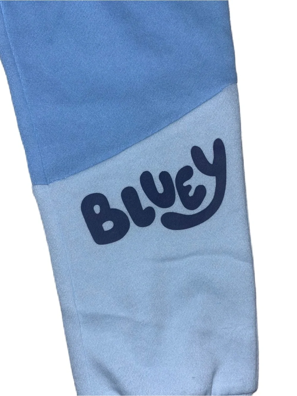 Bluey Matching Sweatshirt Hoodie & Sweat Pants Joggers Set 5T